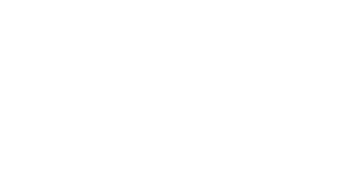 TikTok Ad Awards